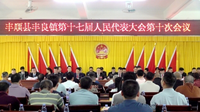 丰顺县丰良镇第十七届人民代表大会第十次会议胜利召开