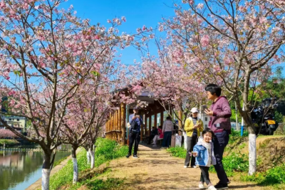 “花花世界”的绝美限定，赏！