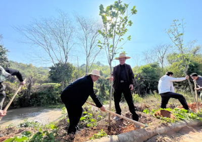 育木成林，聚才兴业！梅县区开展“绿美梅州·聚才育林”人才林种植活动