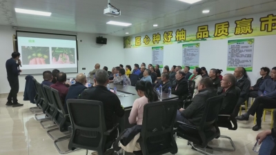 为柚农充电赋能！梅县区桃尧金柚大讲堂又开课啦