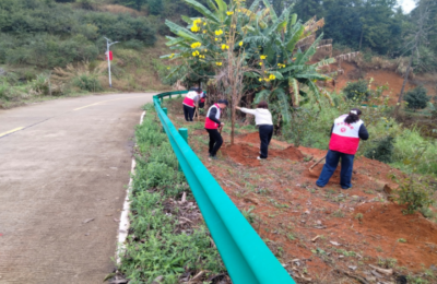 根系故土，绿寄乡愁！兴宁市罗岗镇流动党员参与春日植树共建生态家园