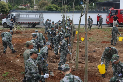 植下强军树，许下报国志！梅县区人武部组织应征青年参加植树活动
