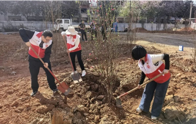 梅江区人民检察院开展植树志愿服务活动