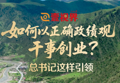 壹视界·微视频丨如何以正确政绩观干事创业？总书记这样引领