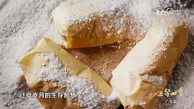 魅力梅州丨梅州“C位”亮相央视《三餐四季》！原来，客家人这么会吃