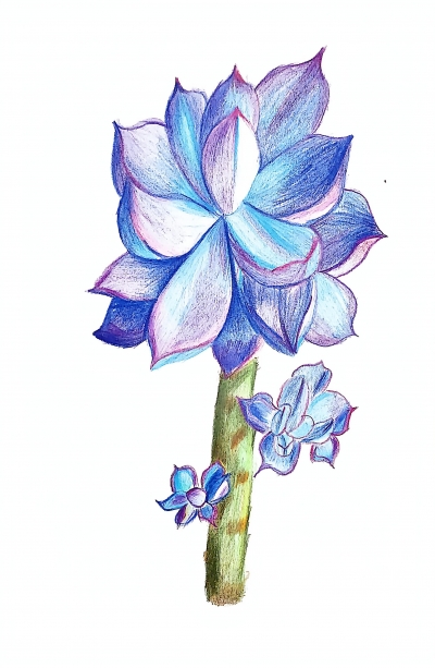 梅县外国语学校陈思涵丨绘画