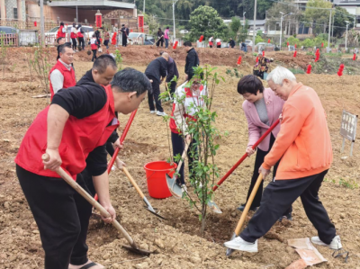 兴宁市径南镇以高质量党建引领“绿美径南”生态建设走深走实