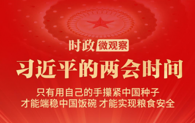 习近平的两会时间丨“搞农业要把种业搞上去”