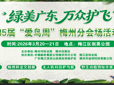 共赴一场飞羽之约！广东省第45届“爱鸟周”梅州分会场系列活动即将启幕