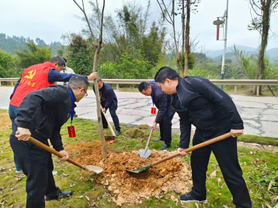 丰顺县龙岗镇人大代表与党员干部联合开展春季植树活动