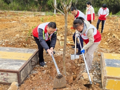梅县区司法局开展义务植树主题党日活动
