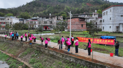 兴宁市黄槐镇开展“三八”妇女节植树活动