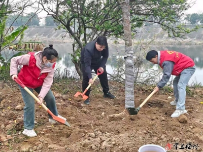 以绿为笔绘寿乡！蕉岭三圳镇开展乡村绿化义务植树活动