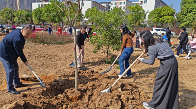 兴宁市福兴街道开展“上灯添绿·植树寄情”公益活动