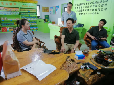 农文旅融合添动能  校地合作谱新篇！嘉应学院助力畲江镇打造乡村振兴示范点