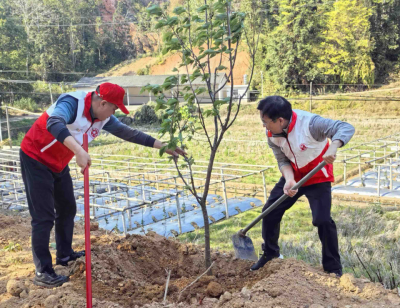 平远县委社工部、县地方志办联合开展主题党日暨结对共建植树活动