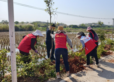 “党建红”引领“生态绿”！兴宁市合水镇一八村党支部携手兴宁市阳光义工协会党支部共建绿美示范林