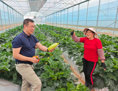 不仅“种得好”，还“卖得掉”！兴宁黄槐镇蔬菜基地牵手龙头企业破解“产销难”