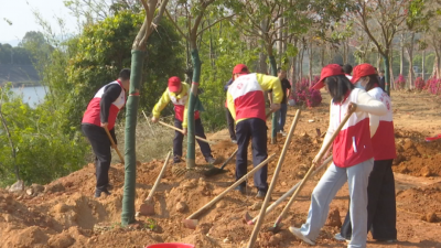 蕉岭五级林长联动为绿美广东生态建设“充植”