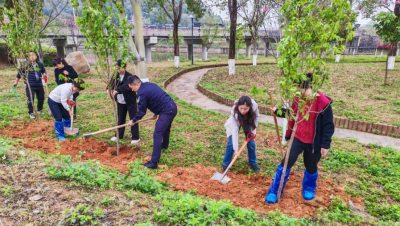 干群同心植新绿！梅江区西阳镇以党建引领奏响绿美建设“春耕曲”