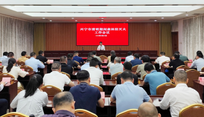 兴宁市召开清明期间森林防灭火工作会议