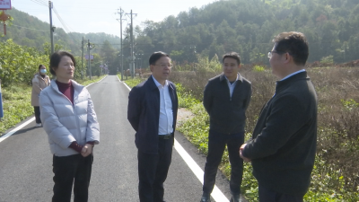 刘裕君率队到文福镇调研 深化资源整合和业态创新 擦亮农文旅融合新名片