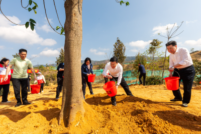 共栽“国防林”建设绿美梅州！2026年五级林长联动推进绿美广东生态建设义务植树活动举行