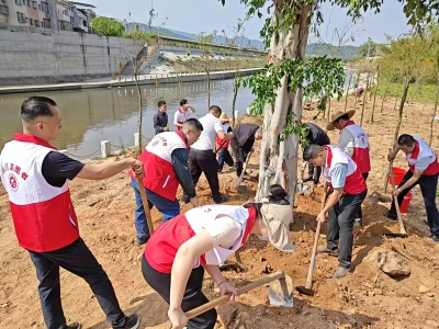 植绿添绿增厚绿色“家底”！梅州各地各单位持续兴起义务植树热潮