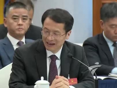 全国人大代表张虎：希望大家多到大湾区走一走 看一看