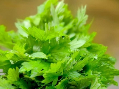 田其标 | 艾是好东西