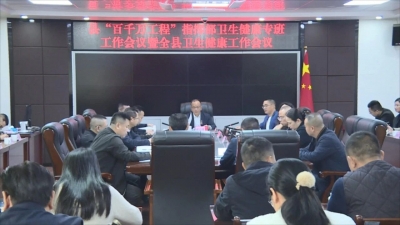 丰顺县“百千万工程”指挥部卫生健康专班工作会议暨全县卫生健康工作会议召开