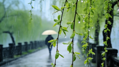 渐冻人钟展峰专栏 | 三月里的小雨