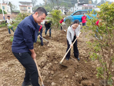 植绿护绿践初心 生态赋能促振兴！蕉岭县广福镇开展义务植树活动  