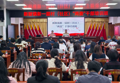 兴宁新陂镇100多名新任村（社区）“两委”干部集中“充电蓄能”