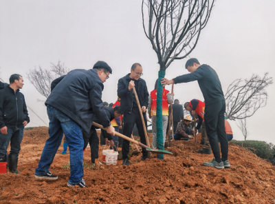 以绿为笔绘新景 文旅融合展新篇！蕉岭县新铺镇以植树行动绘就绿美乡村新画卷  