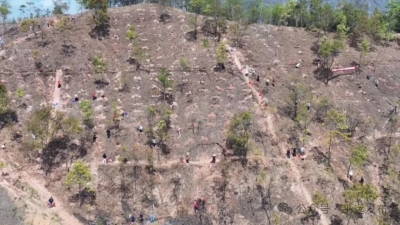 平远县组织开展2026年五级林长联动推进绿美广东生态建设义务植树活动