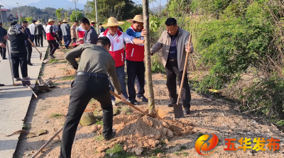 植树正当时！五华各地开展义务植树活动助力绿美生态建设