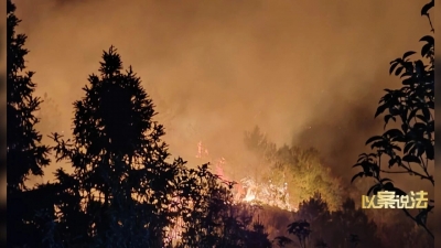 别侥幸！梅县区一市民燃放烟花引发山火，刑拘！