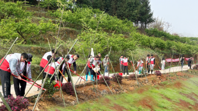 植绿护绿绘新卷 寿乡蓝坊启新程！蕉岭县蓝坊镇全域推进绿美生态建设  