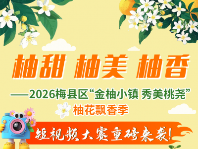 拍柚花，赢万元！梅县区这个短视频大赛别错过哦