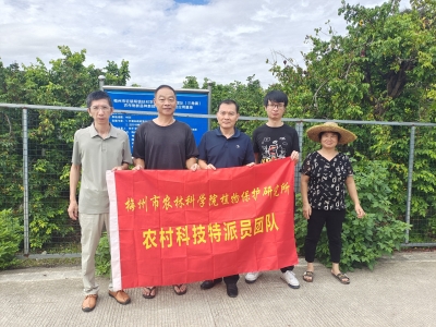 为农业产业高质量发展保驾护航！农村科技特派员团队深入梅江区梅塘杨桃产业园