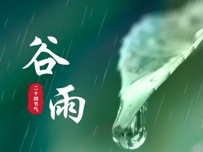 春雨落，百谷生，好运至！