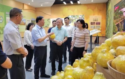 珠海市政协调研组来梅调研考察