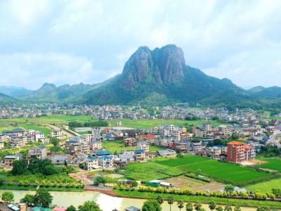 赏民俗、品青食、学采编！石正 “食青” 小记者火热招募中