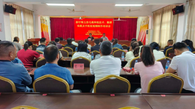 赋能产业振兴！兴宁市新圩镇开展全链条技能培训