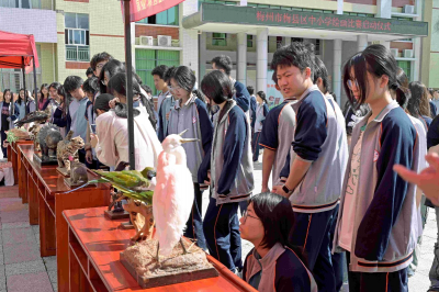 提笔共绘生态守护画卷！梅县区启动 “多彩森林 万物家园” 中小学生绘画比赛