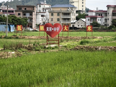广州对口帮扶协作梅州指挥部指挥长张文杰赴兴宁市坭陂镇深调研