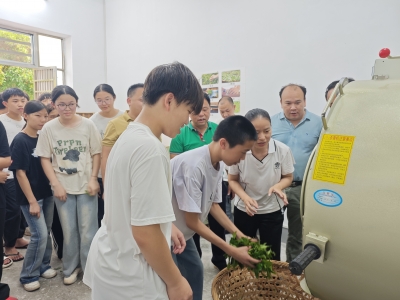 科技赋能乡村教育 匠心传承制茶文化！农村科技特派员赴大埔县大麻镇开展制茶研学实践活动