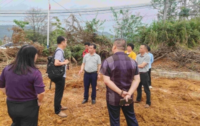 传经送宝 把脉开方！省农科院专家赴兴宁市罗岗镇指导作物种植
