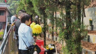 青山寄思念 自然蕴深情 丨 梅县区举办2026年节地生态免费集体树葬公益活动